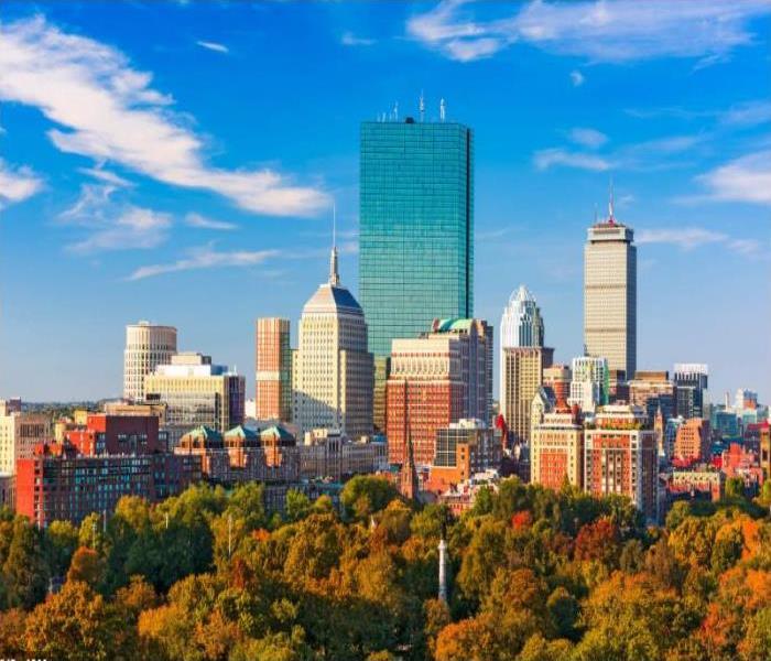 skyline of Boston lined by autumn trees